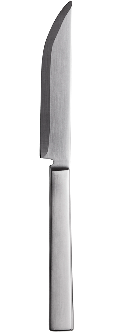 Steakkniv - NYHED, 249